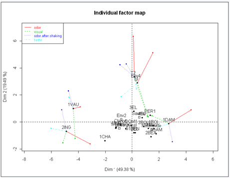Multiple Factor Analysis: scatterplot of partial individuals